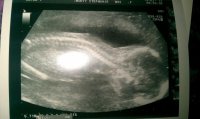 Scan 130212.jpg