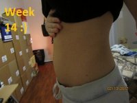 14week.JPG