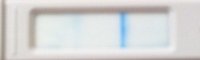 test2.jpg