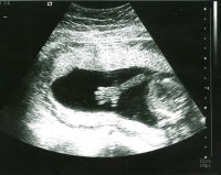 boomboom 19w1d_hand.jpg