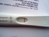 FRER13dpo2.jpg