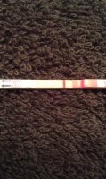 9dpo ic.jpg