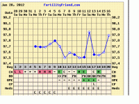chart.GIF