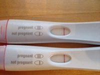 photo(4).jpg