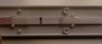 IMG_20120218_083709.jpg