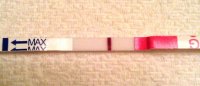 12dpo.jpg