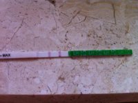 CD16-2pm.jpg