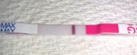 12dpo ic.jpg