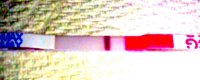 b.jpg
