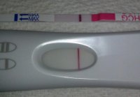 12dpo 700.jpg