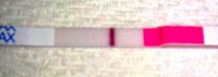 13dpo ic.jpg