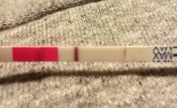13dpo ic7.jpg
