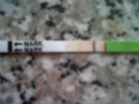 IMG00382-20120220-1359.jpg