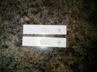 IMG00128-20120220-1825.jpg