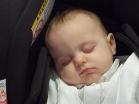 DSCF7737.jpg