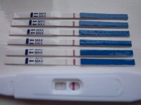 Progression!.jpg