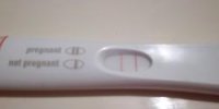 FRER1.jpg