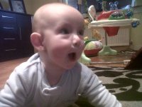 IMG02952-20120221-1605.jpg