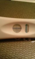 15dpo cvs2.jpg