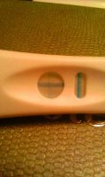 15dpo cvs3.jpg