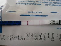 2012-02-23 06.50.43.jpg