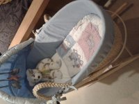 2012-02-23 18.27.51.jpg
