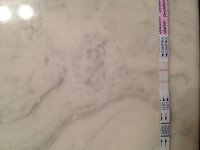 photo-1.jpg
