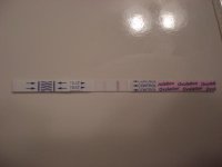 6 30 23.jpg