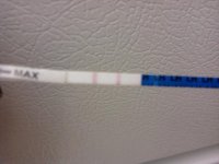 IMG_20120226_084728.jpg