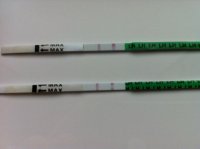 OPK CD19 FMU POS.jpg