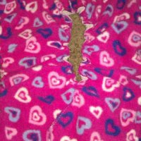 ellas house hemp.jpg