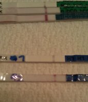 cd8.jpg