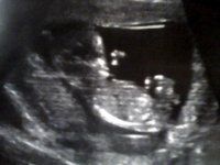 Snapshot_20120229_3.jpg