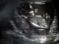 Snapshot_20120229_4.jpg
