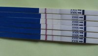 tests.jpg