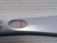 photo.jpg