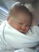 sam 2 days old.jpg