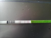 IMAG0196.jpg