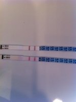 OPK photo.jpg