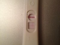 pregtest.jpg