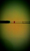 cd14 hpt1.jpg