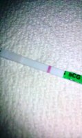 cd14 hpt.jpg