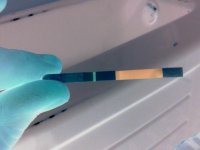 20120305_194818.jpg