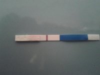 20120305_194612.jpg
