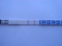 DSCI0624.jpg