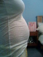 24.5 weeks.jpg