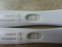 2012-03-07.jpg