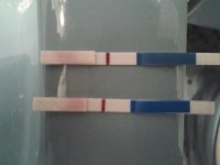 20120306_201157.jpg
