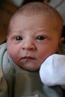 IMG_4303.jpg