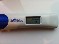 HPT 13DPO DIGI.jpg